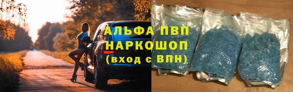 кокс Дмитриев