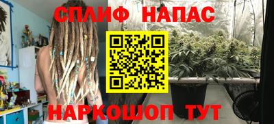 бошки Будённовск