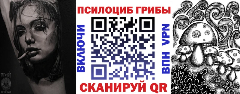 Псилоцибиновые грибы Psilocybine cubensis  Всеволожск 
