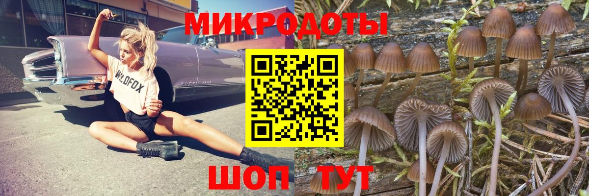 Псилоцибиновые грибы ЛСД Всеволожск